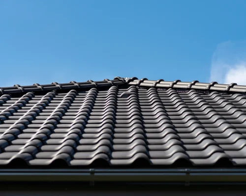 black-roof-tiles-against-a-blue-sky-2026-03-19-23-57-22-utc