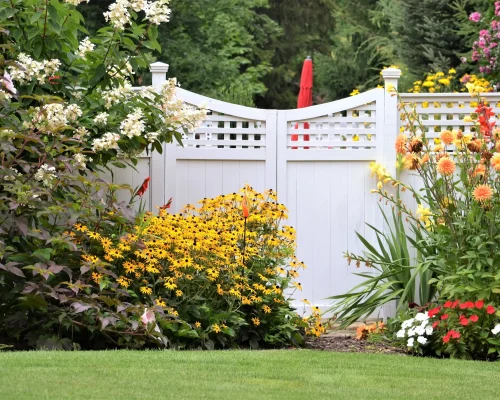 colorful-flower-garden-against-a-white-fence-2026-03-17-05-02-48-utc