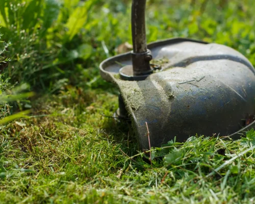 grass-trimmer-head-on-green-lawn-2026-01-08-05-23-04-utc