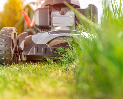 lawnmower-sits-on-the-green-grass-lawn-2026-03-16-02-33-00-utc
